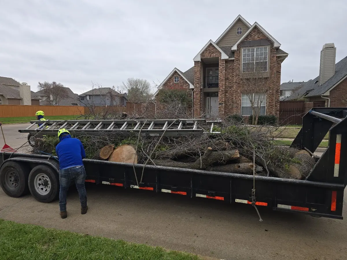Expert Crown Reduction with proper safety equipment in New Bremen